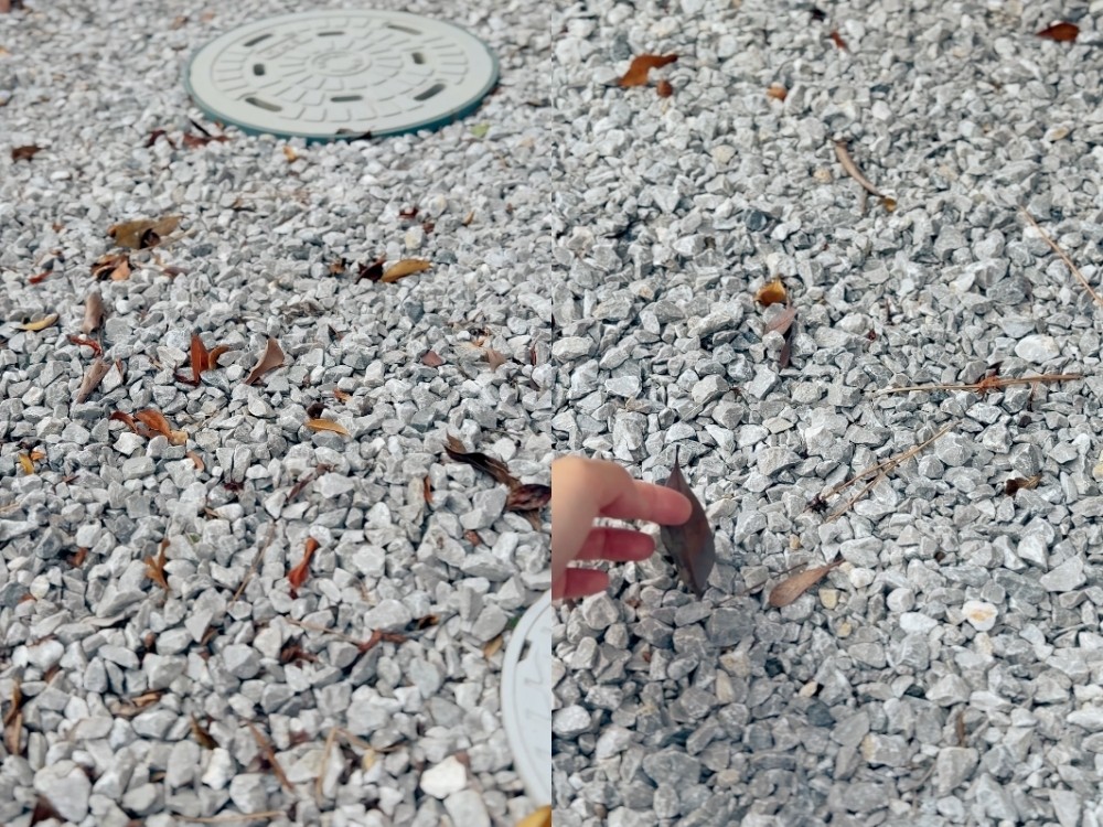建物まわりの砂利にたまった落ち葉